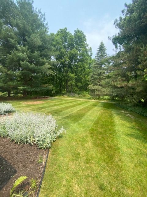 A well-manicured lawn with striped grass patterns, bordered by a flower bed in the foreground and tall trees in the back.