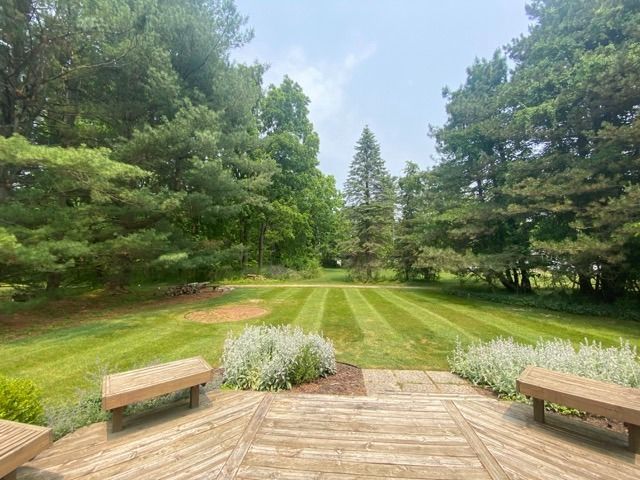 A wooden deck with two benches faces a large, grassy yard lined with dense trees under a bright, sunny sky.