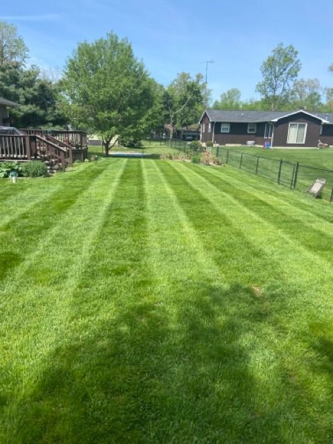 A freshly mown backyard with clearly defined grass stripes, featuring a wooden deck, a large tree, and a distant house.