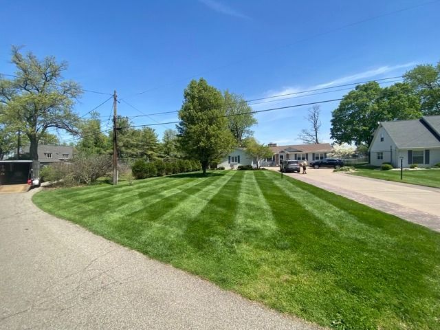 A neatly mowed lawn with prominent striped patterns in a sunny suburban neighborhood.