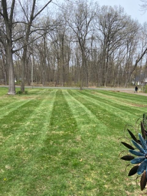 A freshly mown lawn with striped patterns, set against a backdrop of bare trees under an overcast sky.