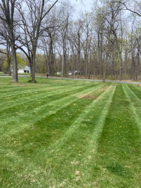 A freshly mowed green lawn with distinct striping patterns leading toward a line of trees in the background.