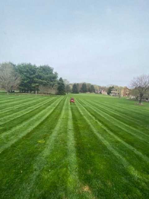 A large, freshly mowed lawn features vibrant green stripes, with a small red lawnmower visible in the distance.