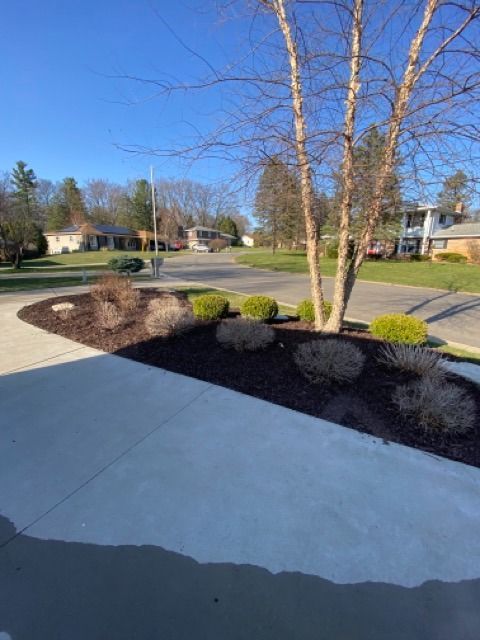 A driveway leads to a suburban street, featuring a garden bed with mulch and small, rounded evergreen shrubs.