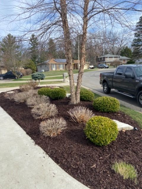 A front yard landscape with a tree, dark mulch, several rounded green shrubs, and some dormant, brownish perennials.