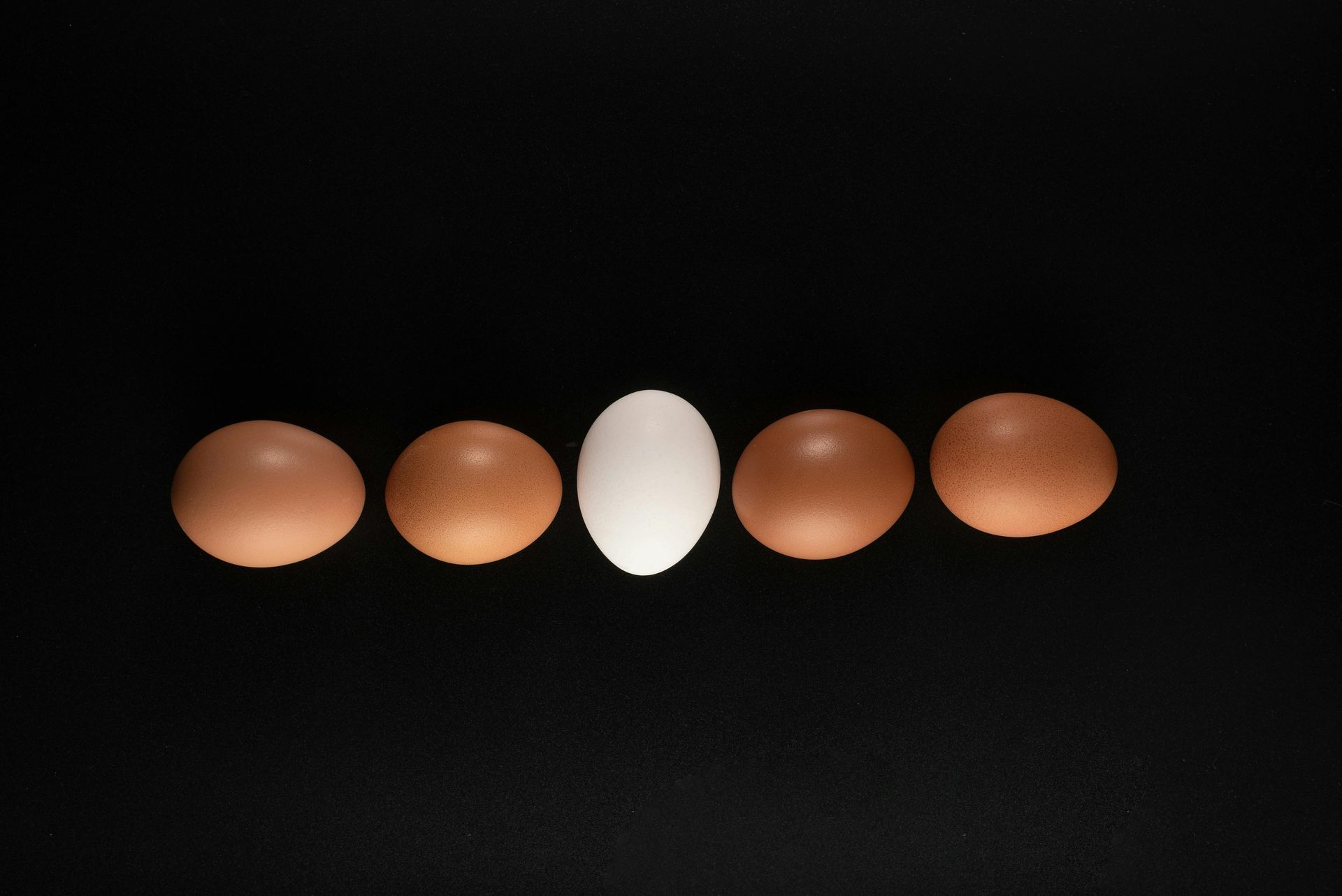 Five eggs, 4 brown and one white