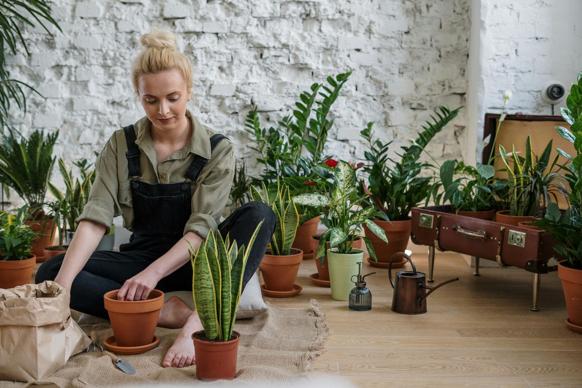 A woman gardening with potted plants.