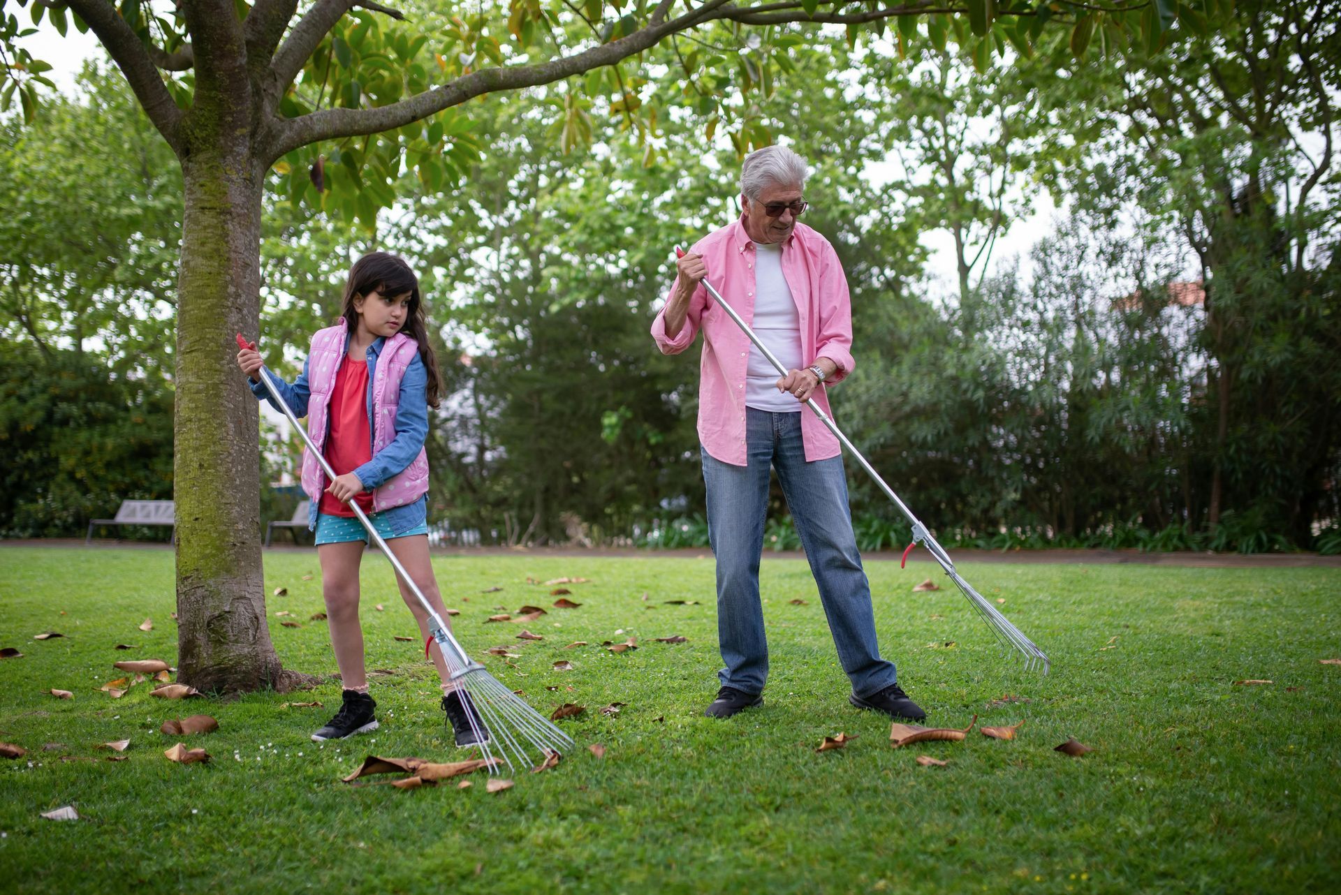 a girl raking leaves with her grandfather