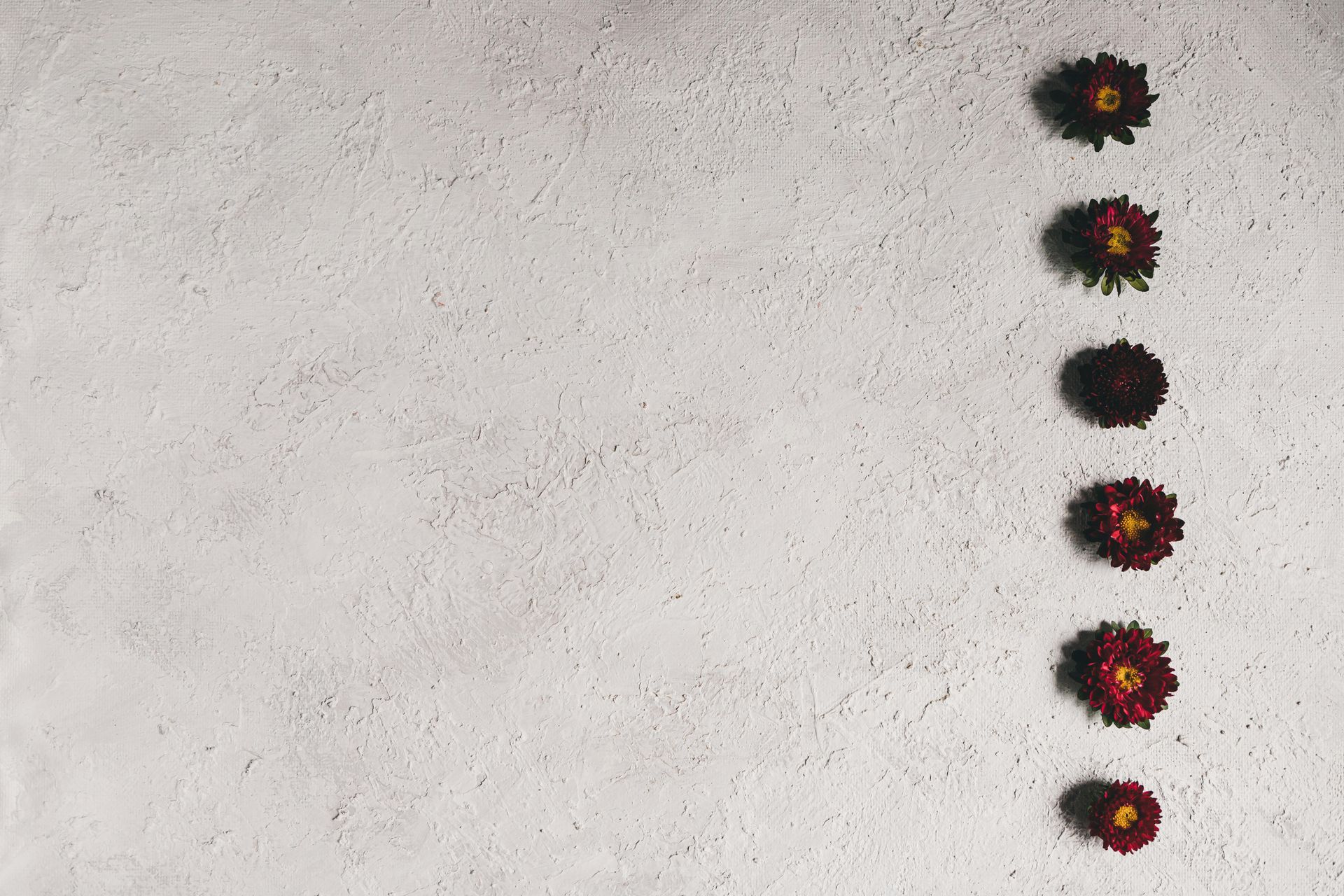 Six flowers aligned vertically on a beach