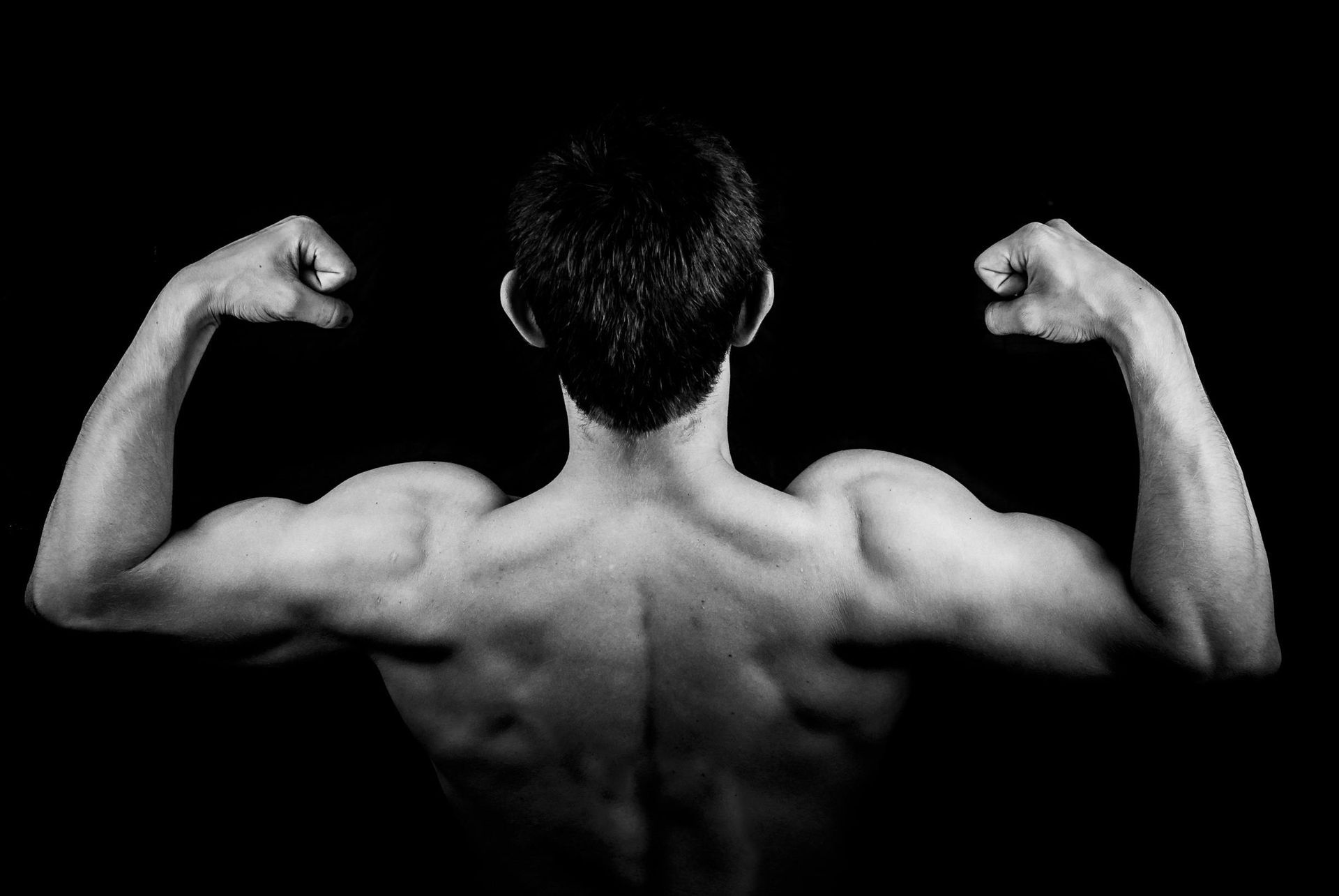 An image of a muscled back.
