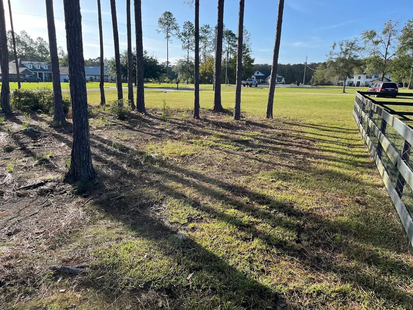 A wooden fence surrounds a grassy field with trees in the background.