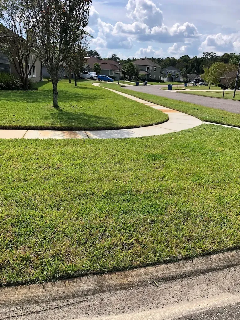 A lush green lawn with a sidewalk going through it in a residential neighborhood.