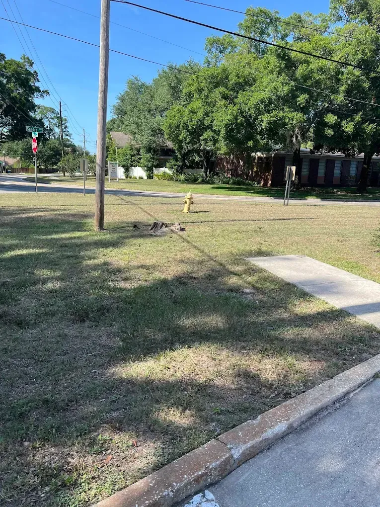 A fire hydrant is in the middle of a grassy field next to a sidewalk.