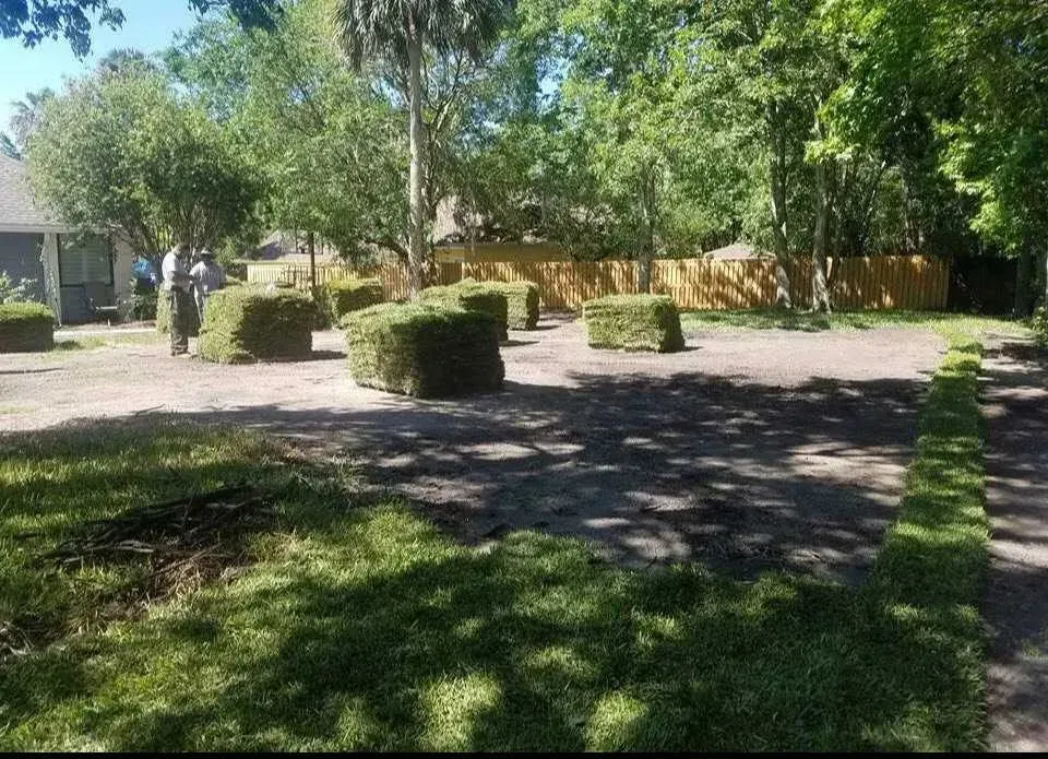 A driveway leading to a house surrounded by trees and bushes.