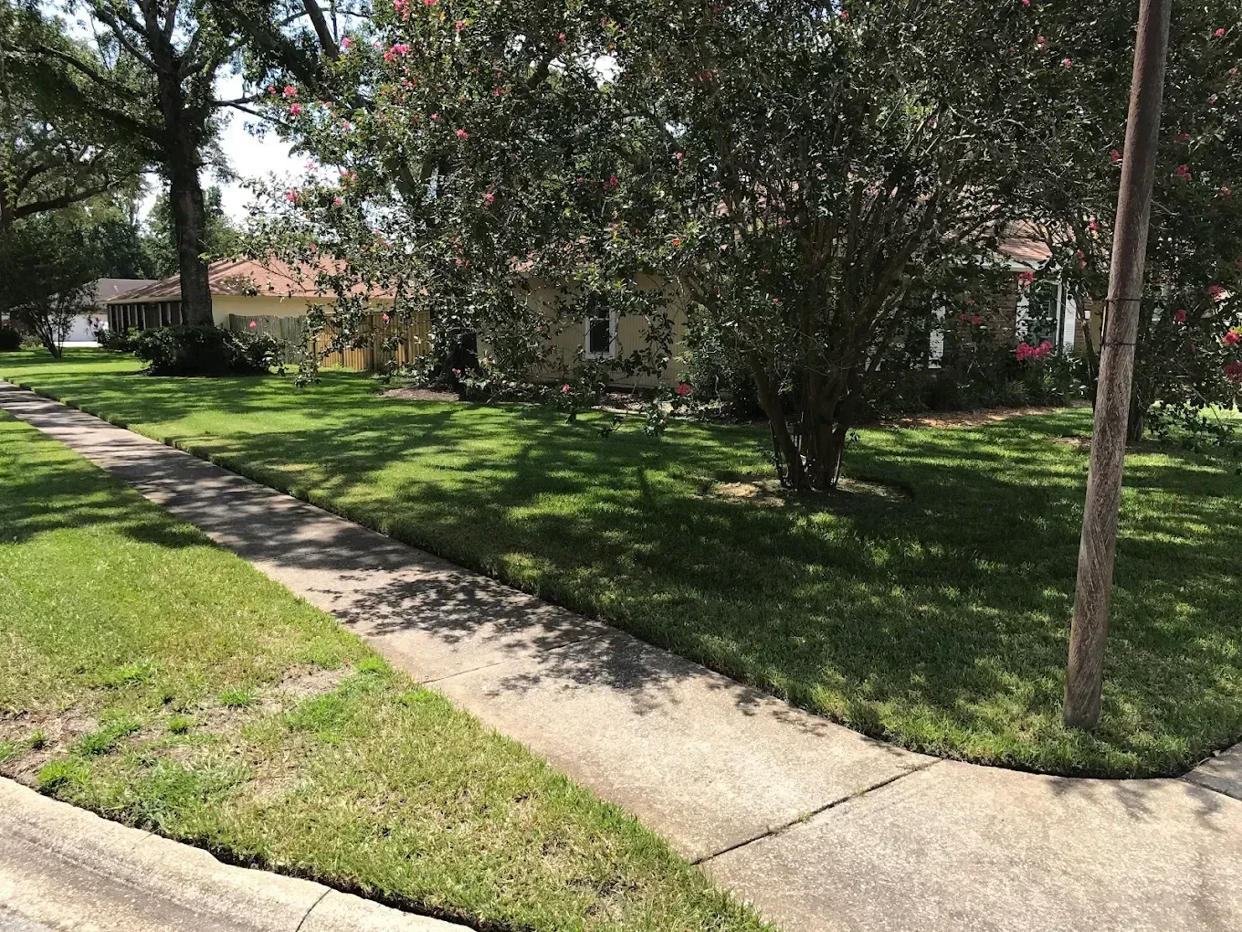 A sidewalk leading to a house with a lush green lawn and trees.