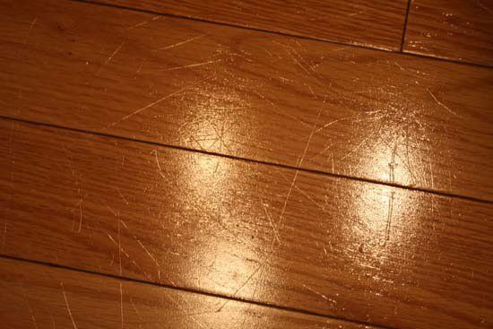 Hardwood Floors Pet Considerations, How To Remove Dog Nail Scratches From Hardwood Floors