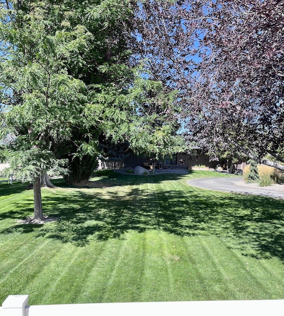 A lush green lawn with trees in the background and a white fence in the foreground.