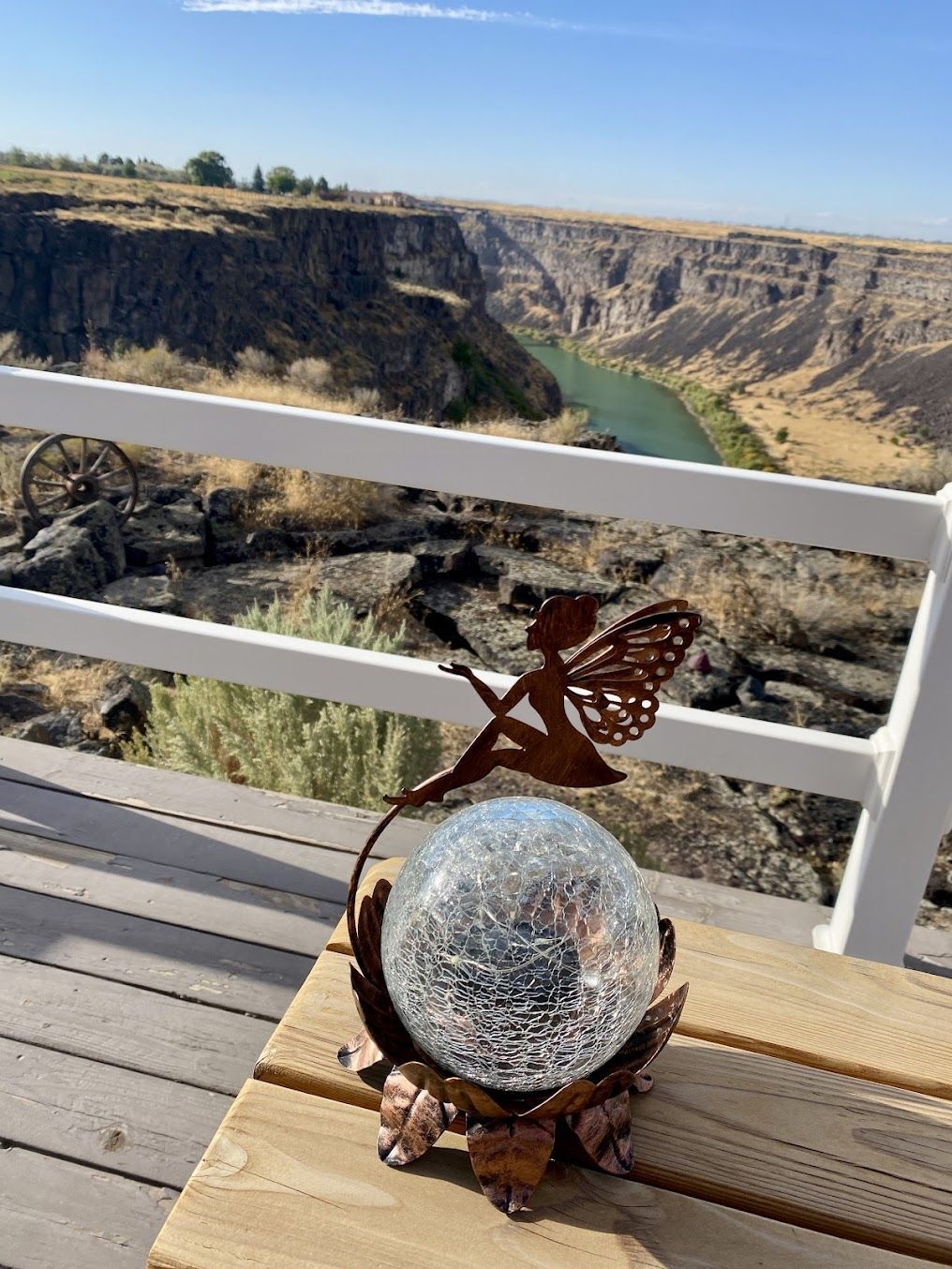 A snow globe with a butterfly on it is sitting on a wooden table.