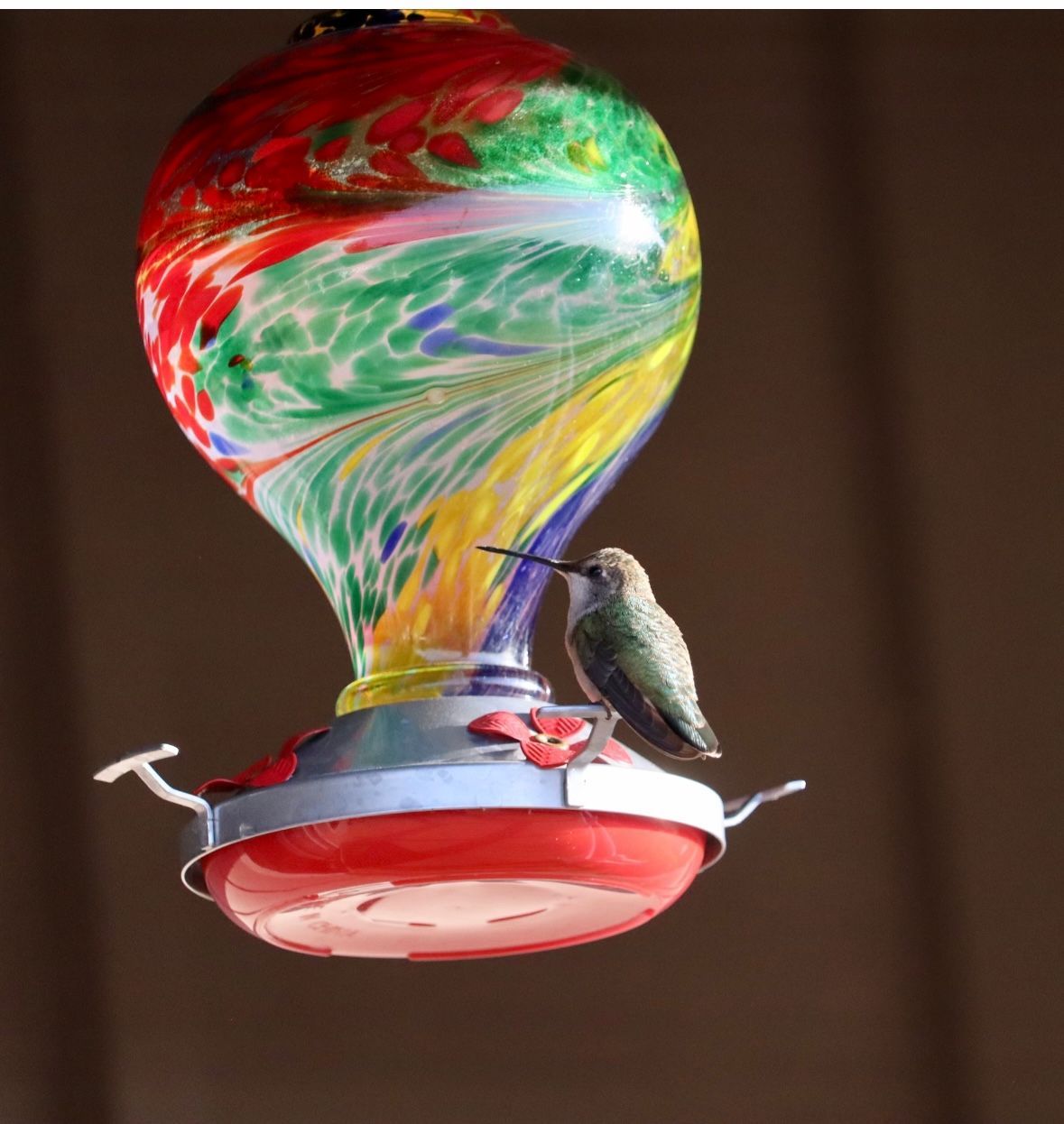 Hummingbird perched on a colorful glass feeder, reaching its beak towards the feeding port.