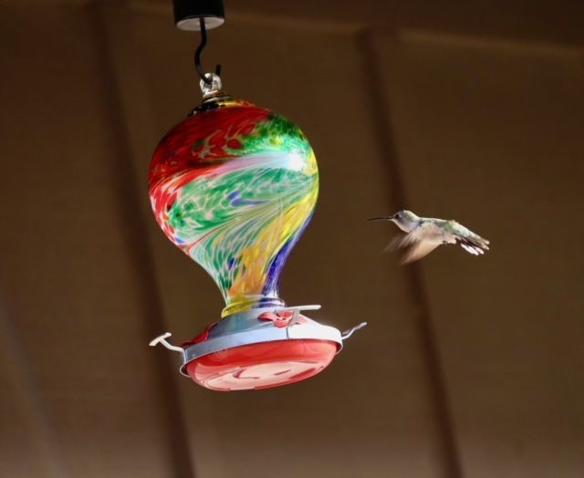 Hummingbird approaching a colorful glass feeder, red and white base, suspended outdoors.
