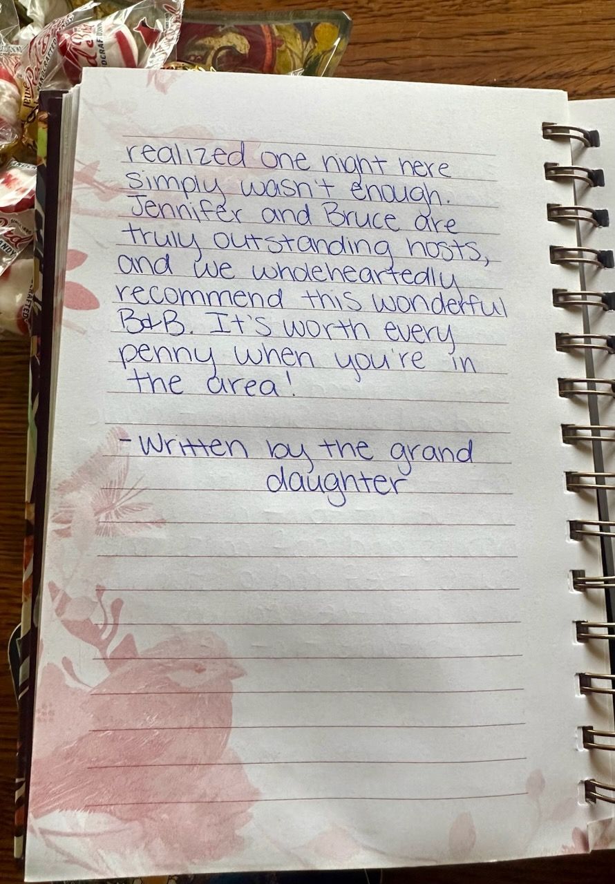 Handwritten journal entry on lined paper. Red floral accents on the page. Text is in blue ink.