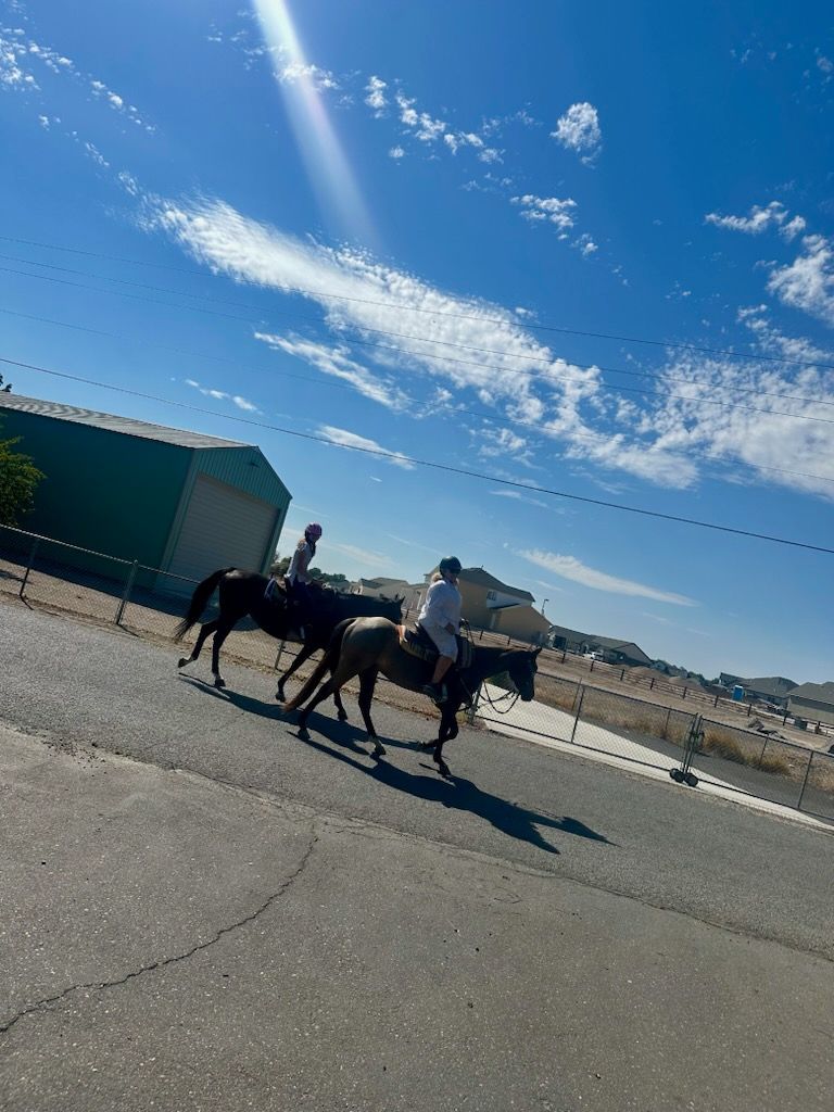 Two people ride horses down a paved road on a sunny day with a blue sky and buildings in the background.
