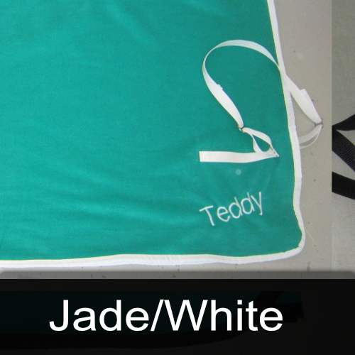 A green blanket with the name teddy embroidered on it