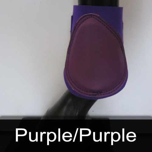 A close up of a purple boot on a horse 's leg