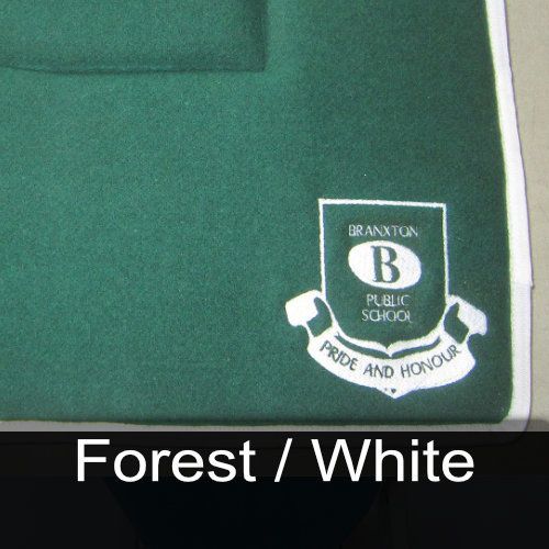 A green shirt with a braxton public school logo on it