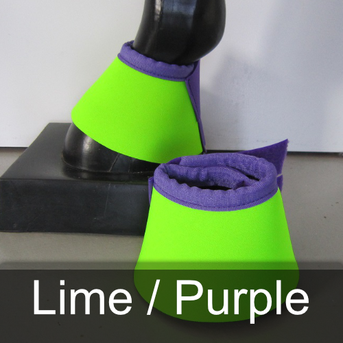 A pair of lime and purple bell boots on a horse