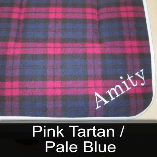A pink tartan blanket with the name amity embroidered on it