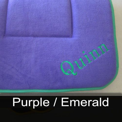 A purple blanket with the name quinn embroidered on it