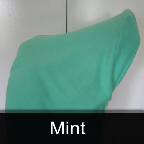 A picture of a t-shirt that says mint on it