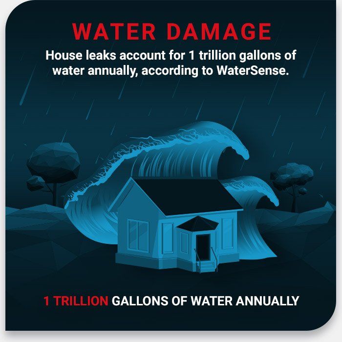 Fact About Water Damage — Arvada, CO — Property Doctors