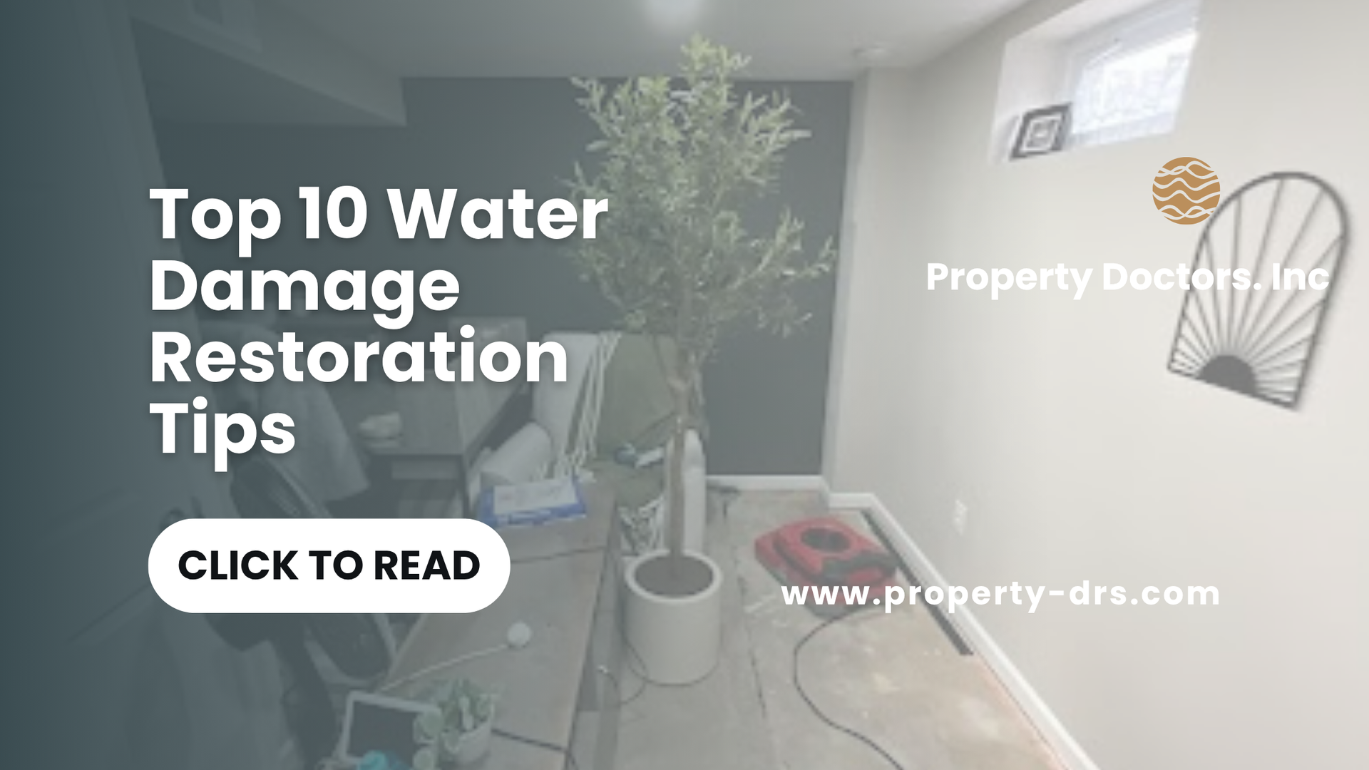 Water damage restoration professionals using industrial dehumidifiers and water extractors to dry a 