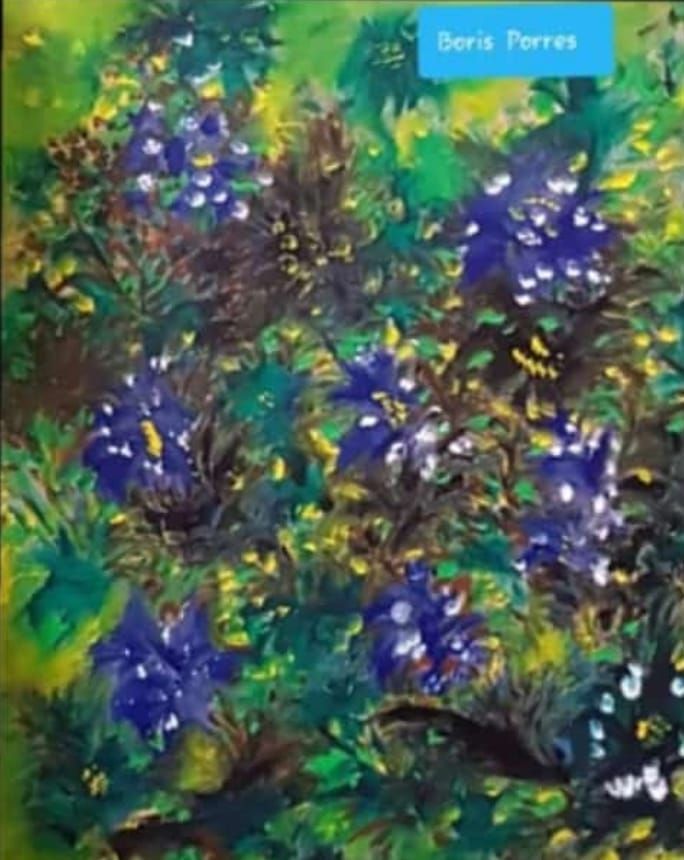 obra de Boris Porres