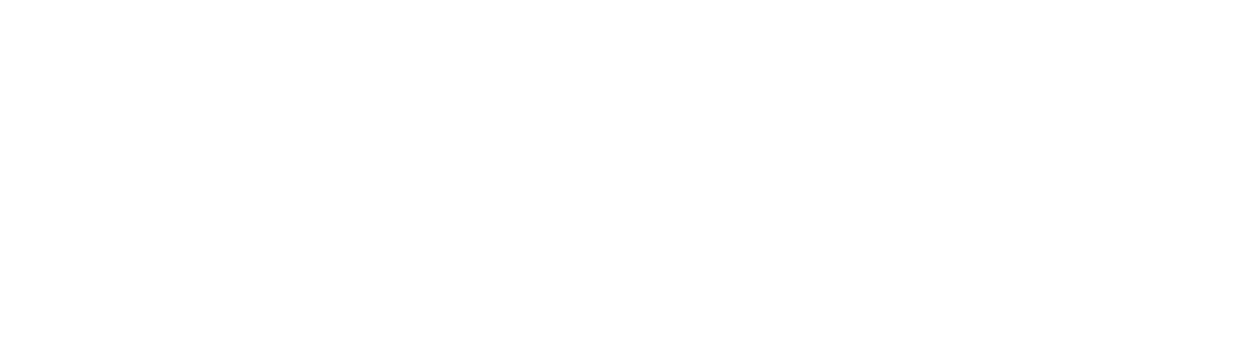 The District at Manhattan Logo