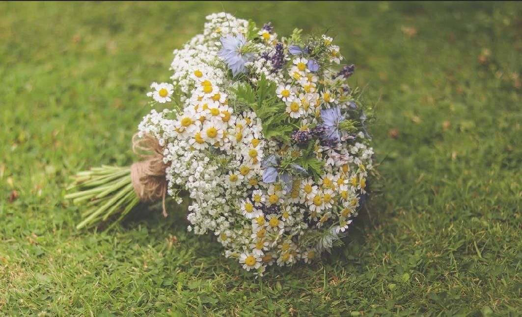 Bouquet of white daisies, blue flowers, and greenery tied with twine, lying on green grass.