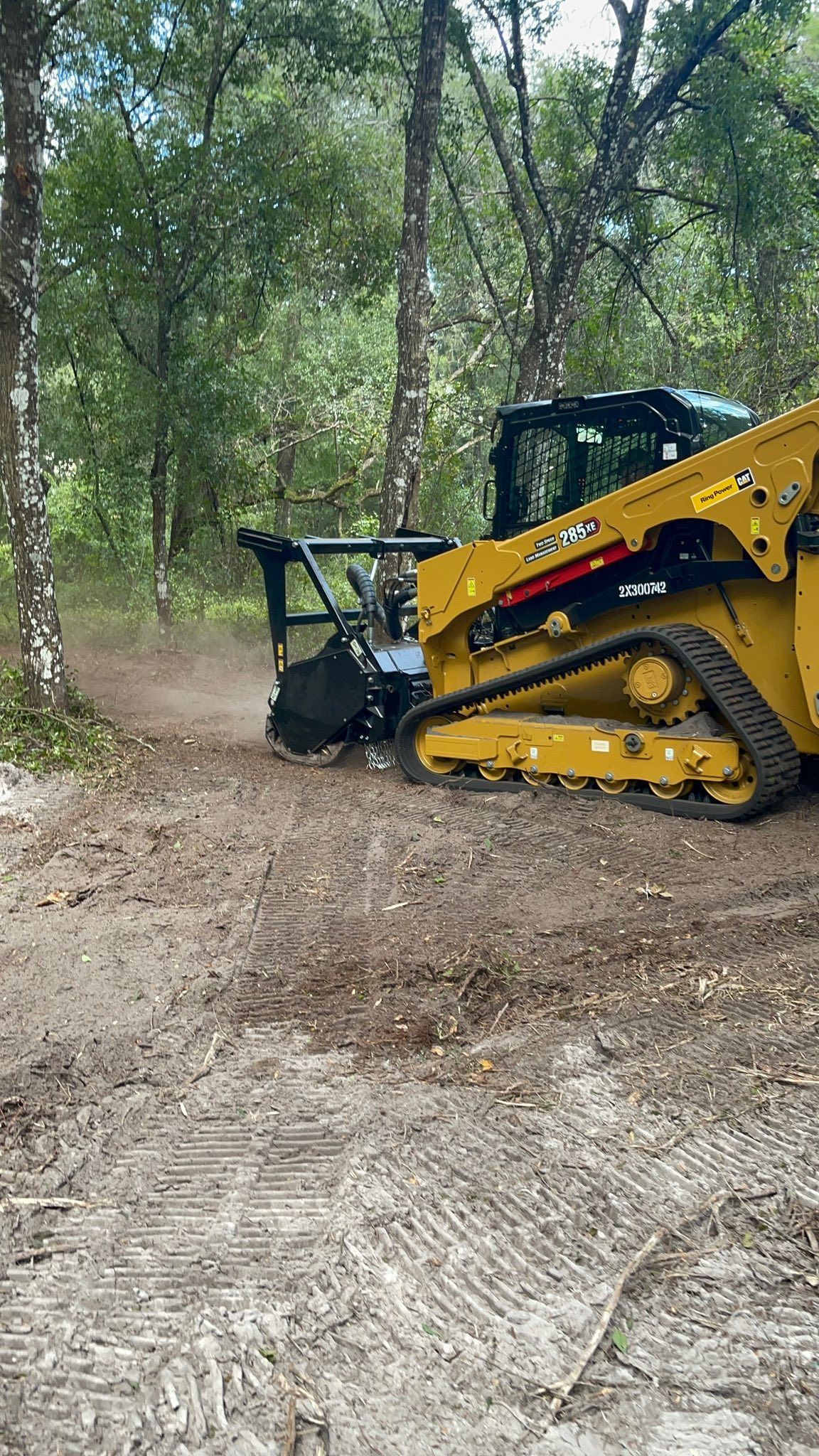 Yellow skid steer mulching trees in a wooded area, creating a cleared path.