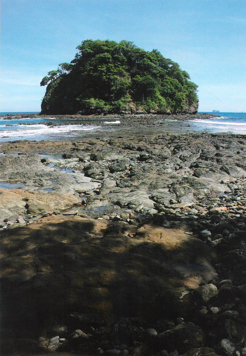 galerias cuetara, tomas sanchez