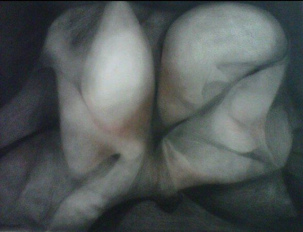 galerias cuetara, rafael soriano