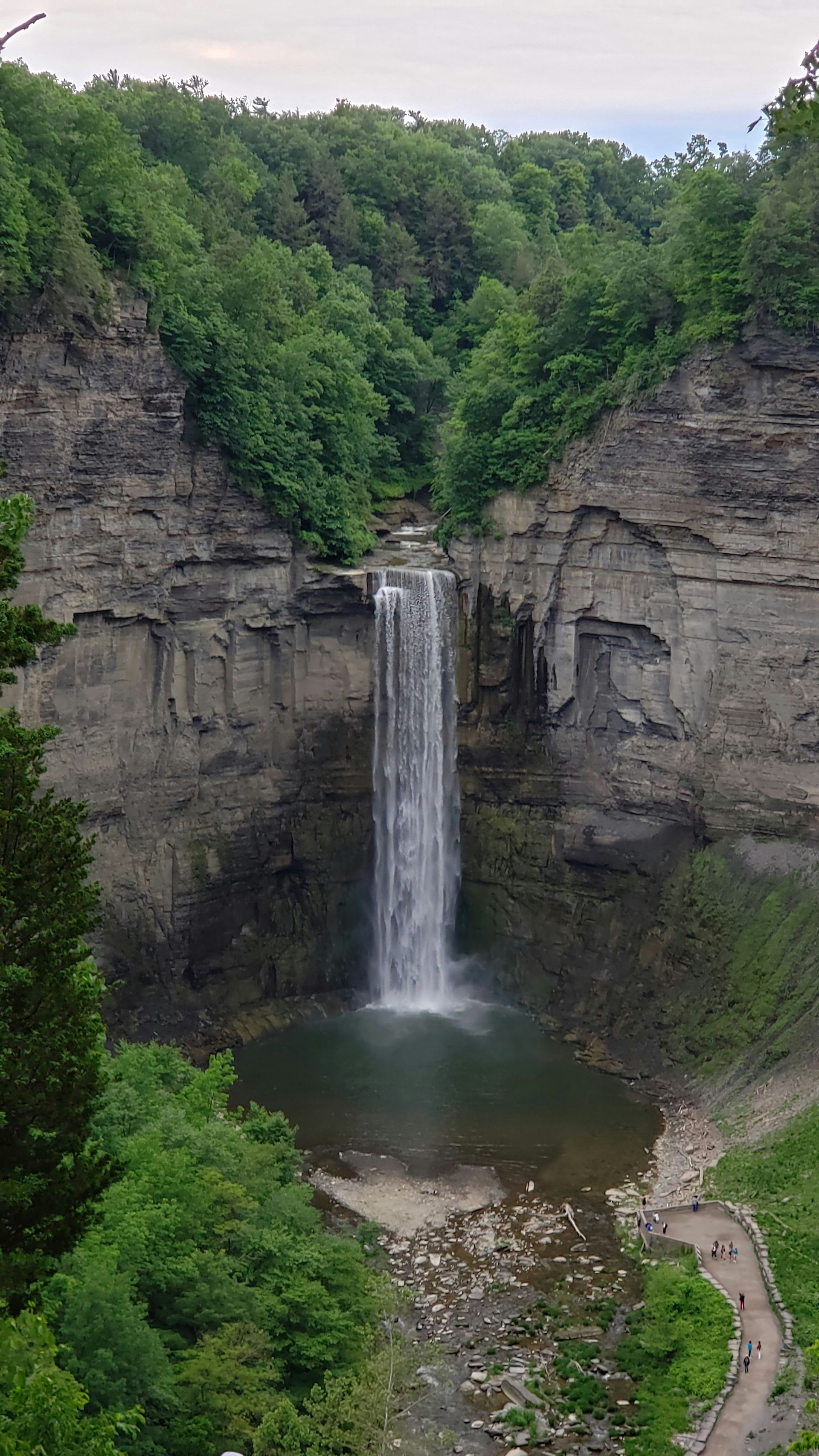 A waterfall is surrounded by trees and cliffs in the middle of a forest.