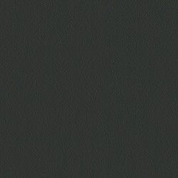 Charcoal Solid Color Garage Cabinet Finish