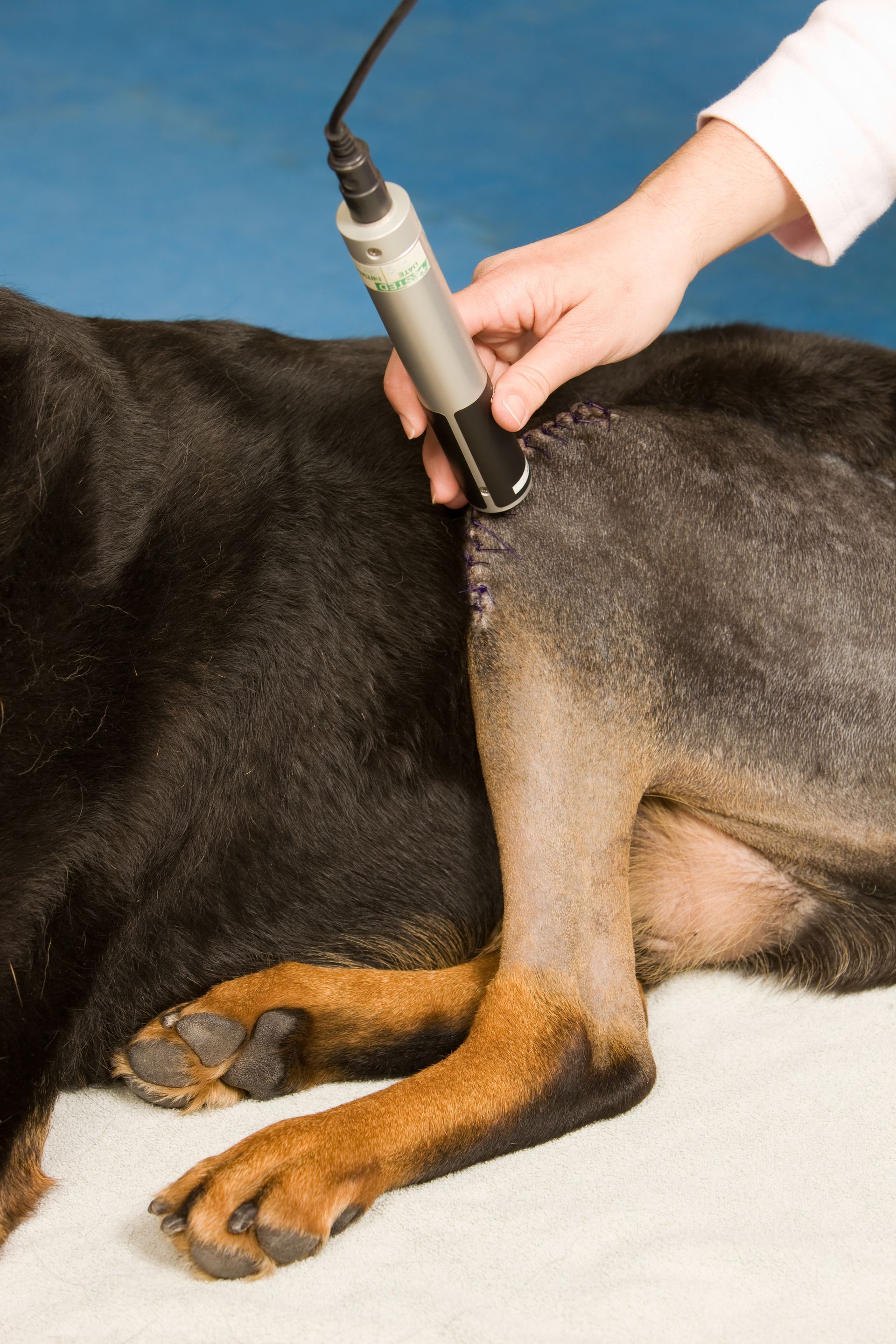 laser terapia
