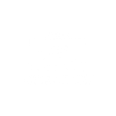 Scottish Rite Take Flight Comprehensive Intervention for Students with Dyslexia - logo