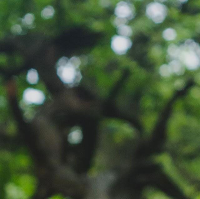 Veiklos ir dėmesio sutrikimas suaugusiame amžiuje