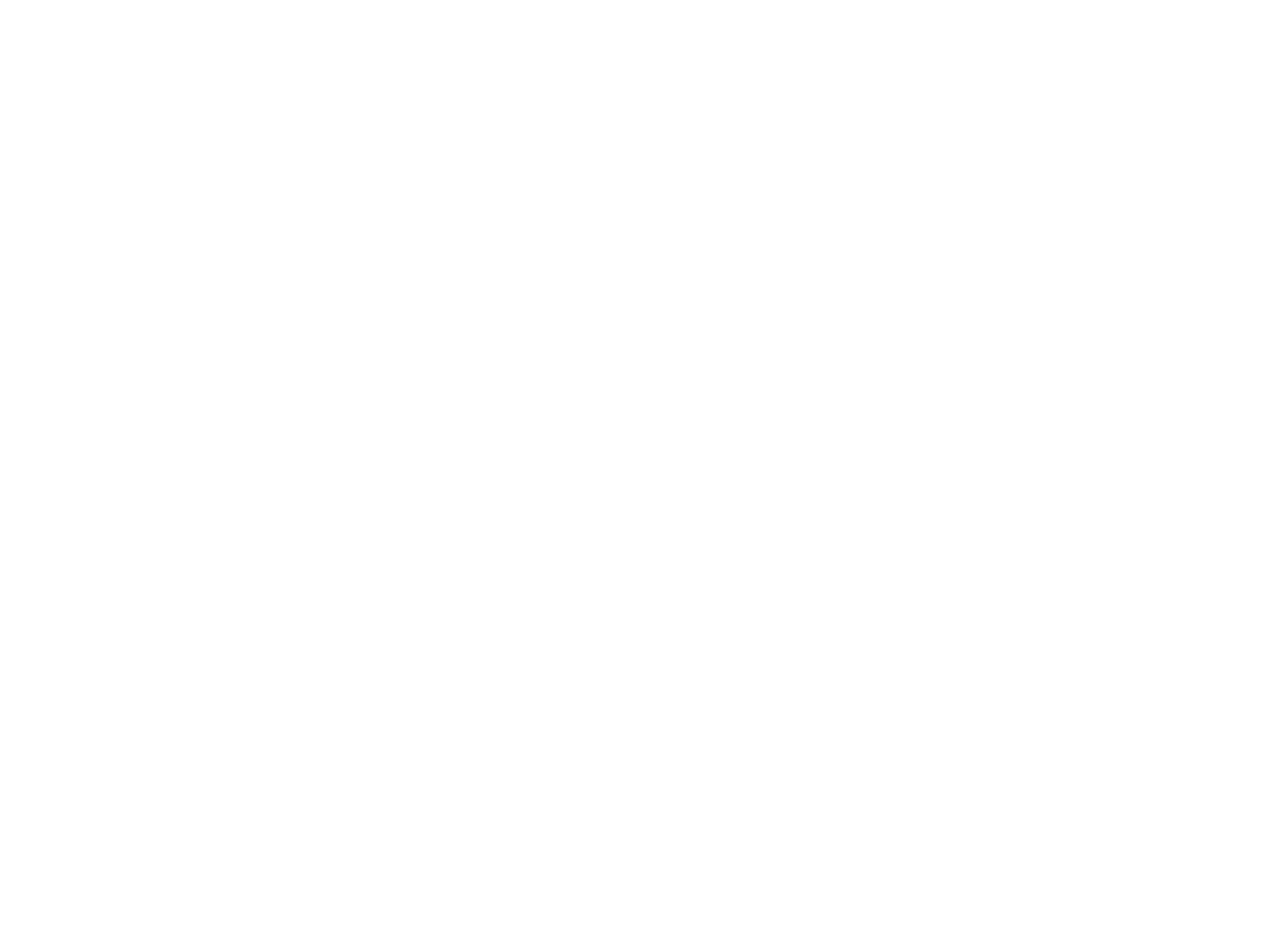 Dr. Bruce Bridges Logo
