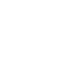 Dr. Bruce Bridges Logo
