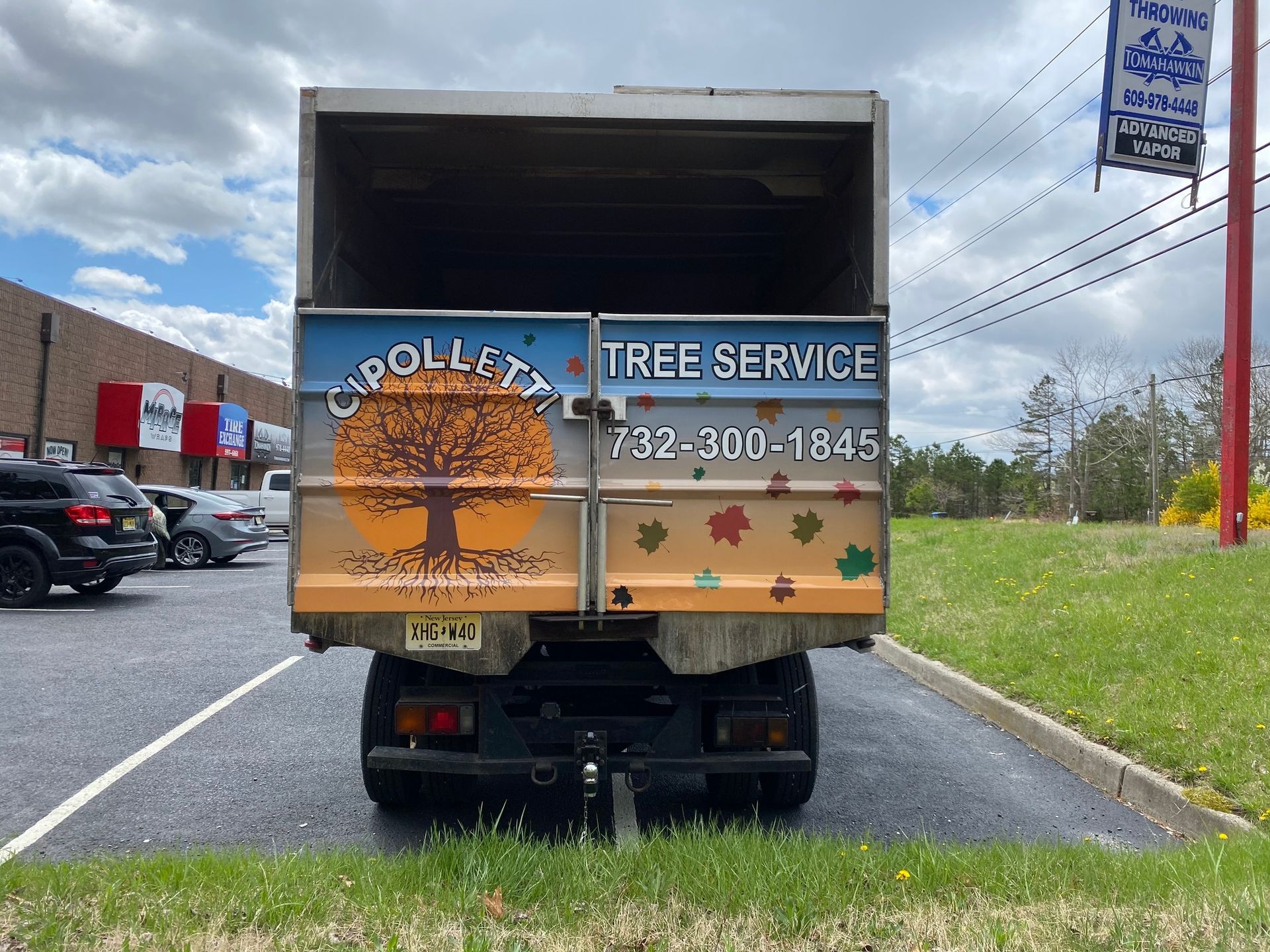 Tree service truck parked roadside, rear gate open, with “APOLLO TREE SERVICE” and phone number on the back.