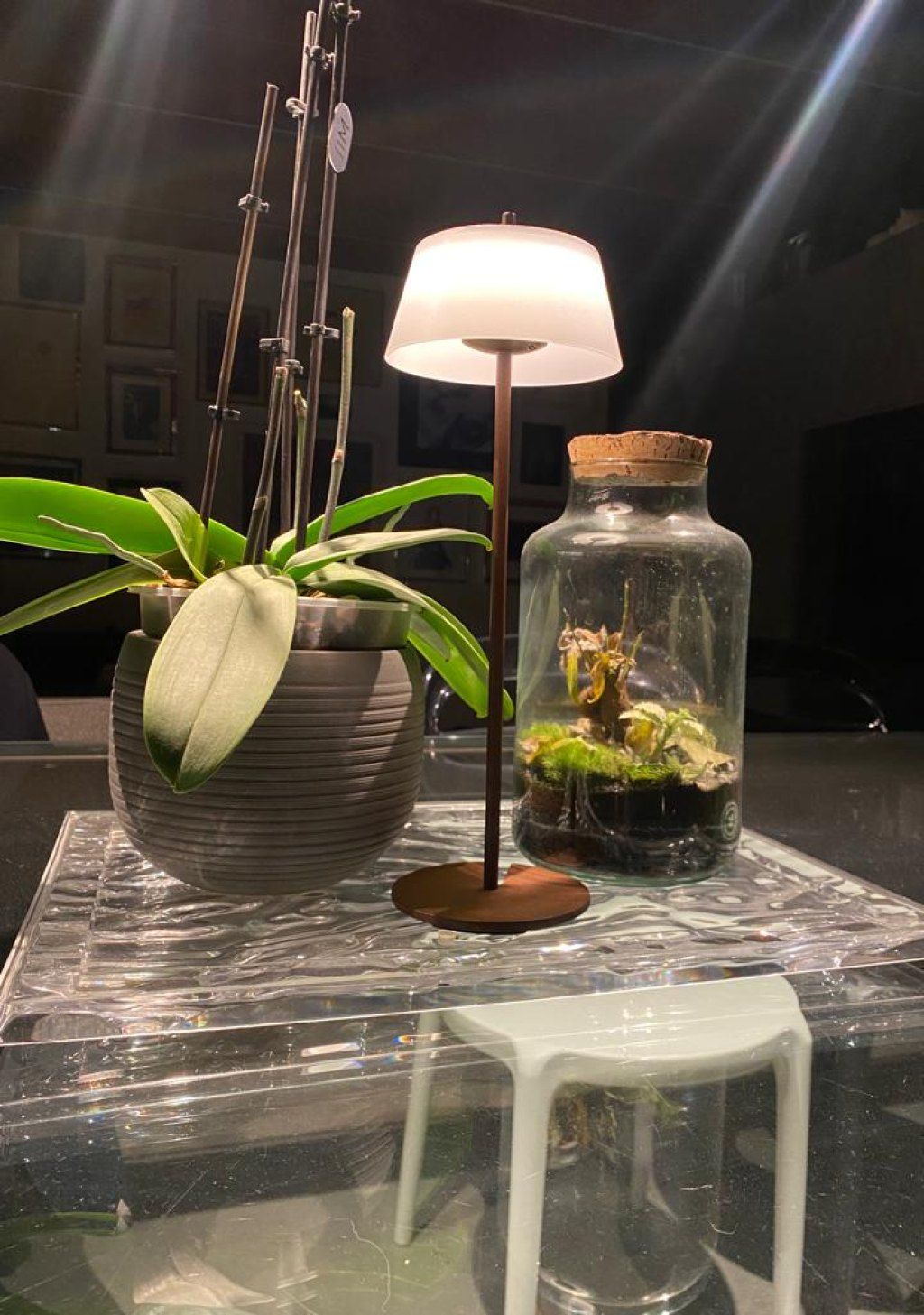 Egoluce lampade da tavolo Colombo Illuminazione Novara